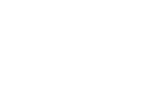 MikeBarger LogoType White